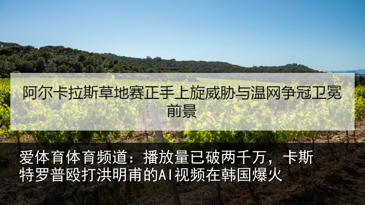 爱体育体育频道：播放量已破两千万，卡斯特罗普殴打洪明甫的AI视频在韩国爆火